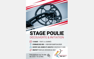 🏹 Stage : Immersion Arc à Poulies